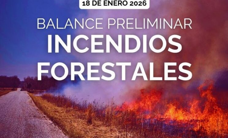 CONAF actualiza situación de incendios forestales en zona centro-sur de Chile