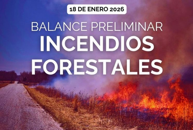 CONAF actualiza situación de incendios forestales en zona centro-sur de Chile