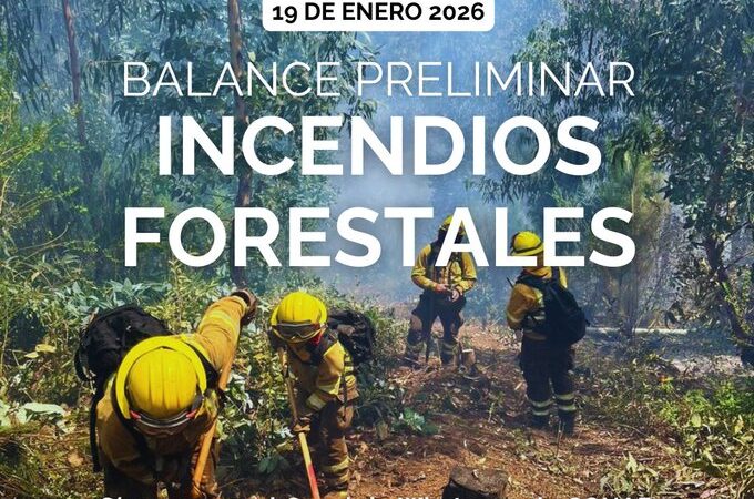 Balance de CONAF sobre incendios forestales al 19 de enero