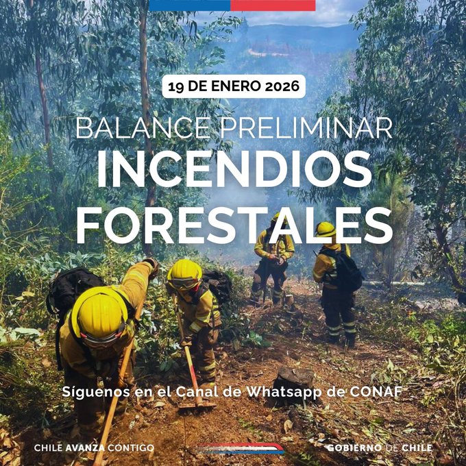 Balance de CONAF sobre incendios forestales al 19 de enero