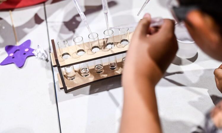 Ministerio de Ciencia adjudicó más de $1.550 millones en sus Concursos Nacionales Ciencia Pública