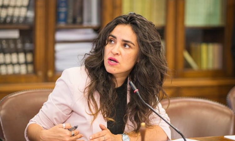 Diputada Javiera Morales pide no incorporar nuevos impuestos al sector turístico