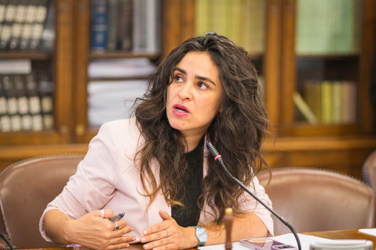 Diputada Javiera Morales pide no incorporar nuevos impuestos al sector turístico