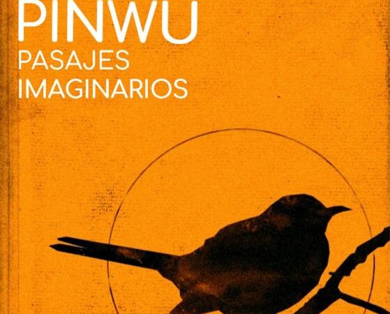 «Pasajes Imaginarios» se llama la más reciente creación de Lluvia Acida