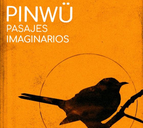 «Pasajes Imaginarios» se llama la más reciente creación de Lluvia Acida