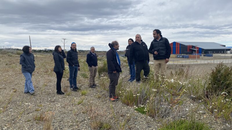 23 empresas adquirieron las bases de licitación del proyecto de electromovilidad para Punta Arenas