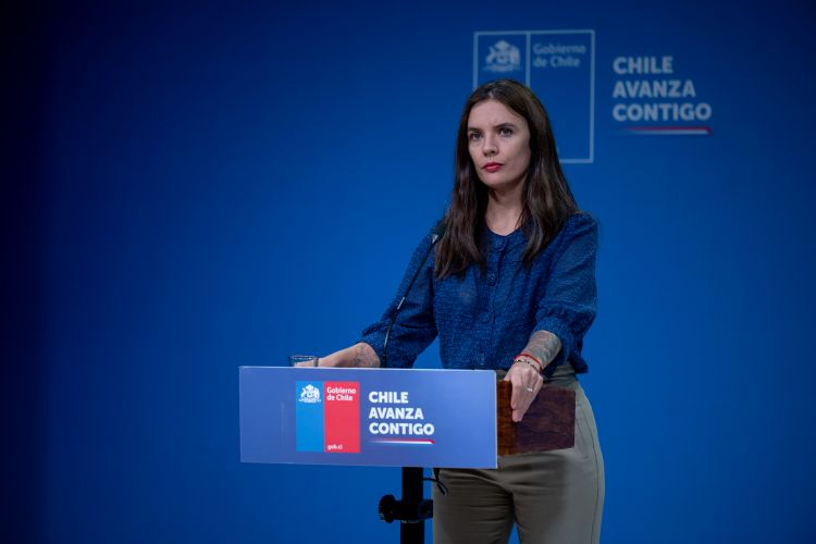 Ministra Vocera Camila Vallejos: «como Estado estamos desplegados en terreno combatiendo 10 incendios y entregando ayuda a las familias damnificadas»