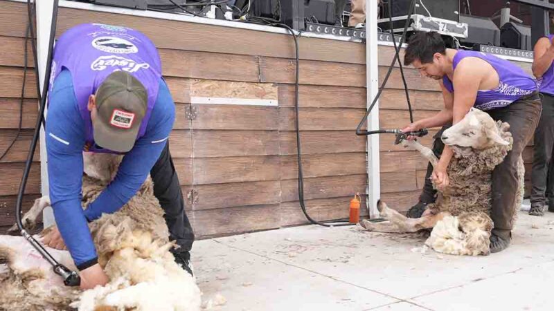 XXXII Festival de la Esquila culmina con éxito rotundo y con más de 7 mil asistentes en Villa Tehuelches