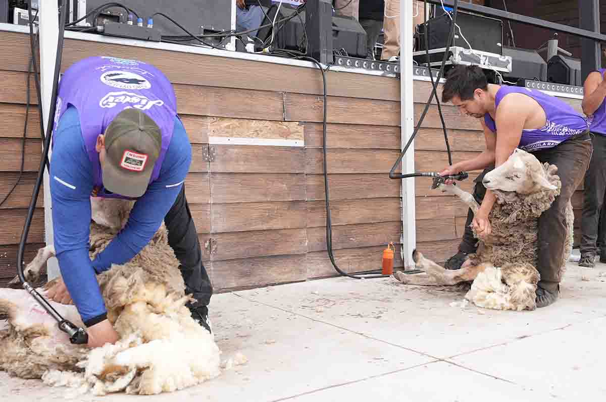 XXXII Festival de la Esquila culmina con éxito rotundo y con más de 7 mil asistentes en Villa Tehuelches