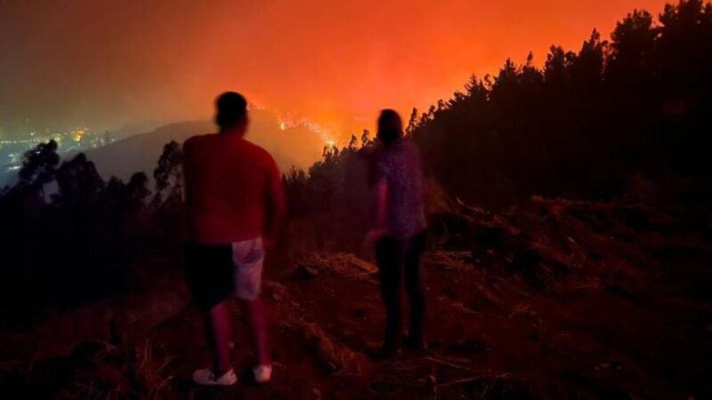 Se declaró toque de queda en comunas de Penco, Lirquén, Nacimiento y Laja por graves incendios forestales: 15 fallecidos se han  informado