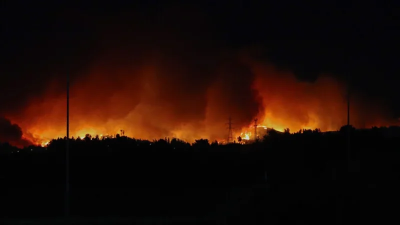 Autoridades regionales de Bio Bío acusaron “evidente intencionalidad” en focos de incendios