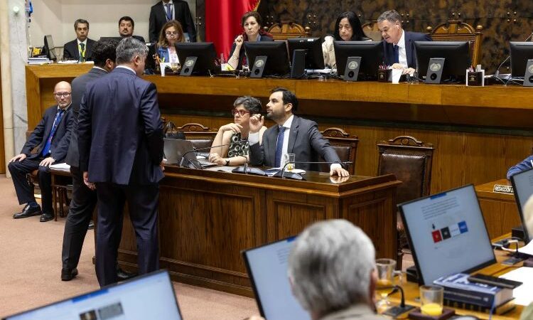 Avanza en el Senado proyecto de ley que fortalece el Ministerio de Seguridad Pública