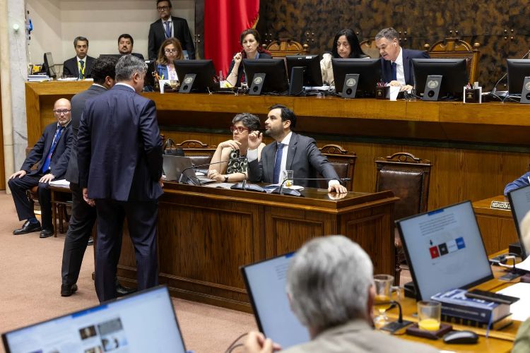Avanza en el Senado proyecto de ley que fortalece el Ministerio de Seguridad Pública