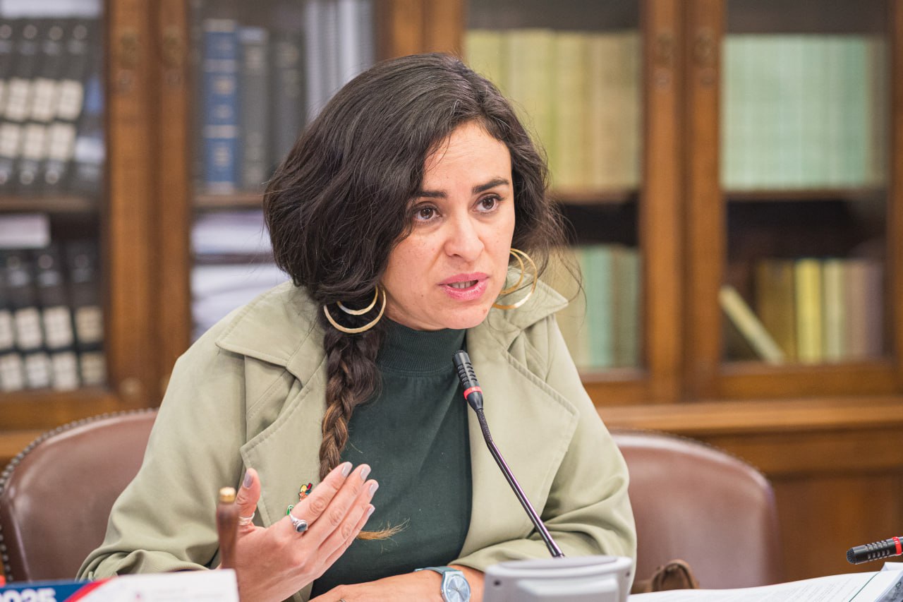 Diputada Javiera Morales emplaza al CORE: “Las trabas de la derecha al control biométrico para Magallanes son puras mezquindades porque el proyecto es del Diputado Bianchi”