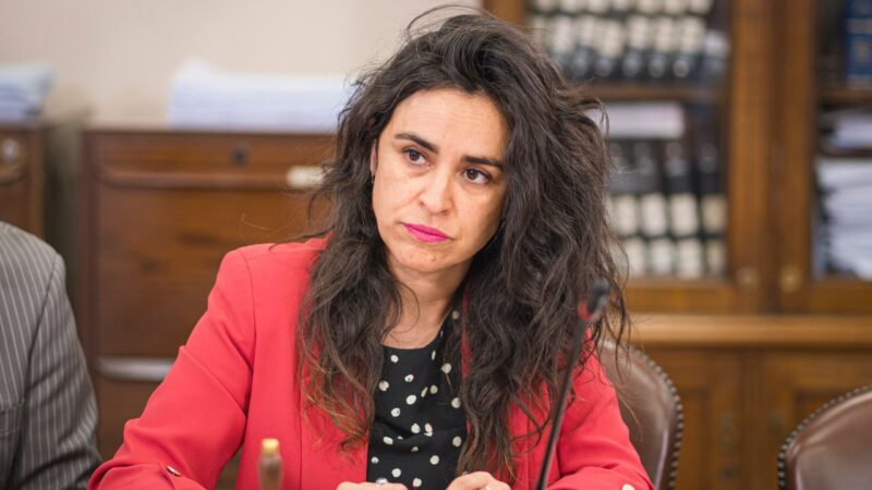 Cámara de Diputados aprueba solicitud de resolución de la diputada Javiera Morales para reactivar Plan de Zonas Rezagadas en Puerto Edén