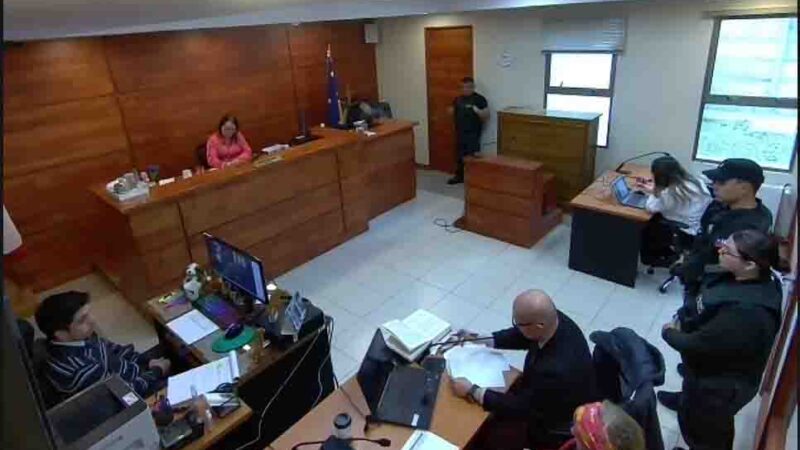 Juzgado de Garantía multa a turistas extranjeros uso ilícito de fuego en Torres del Paine