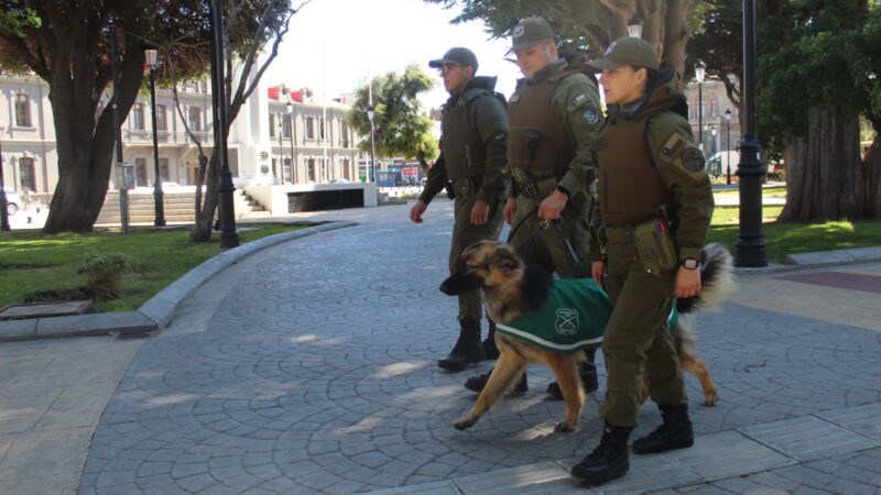 Carabineros de la 1ª Comisaría Punta Arenas presenta a su nuevo can de Orden y Seguridad, “Marley”