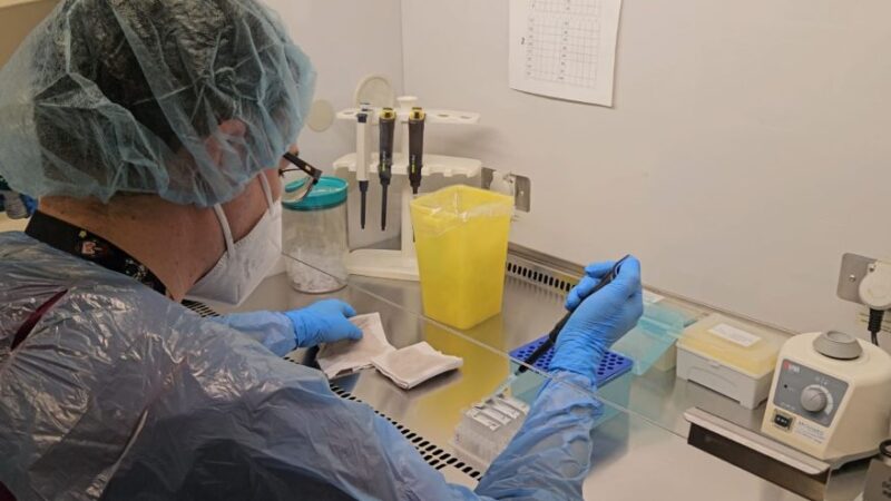 Servicio de Salud Magallanes implementa test PCR para VPH en su Red Asistencial