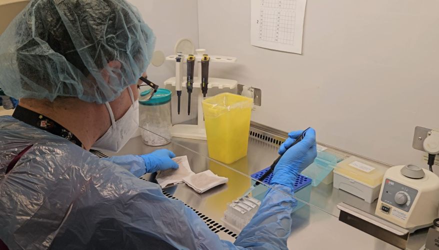 Servicio de Salud Magallanes implementa test PCR para VPH en su Red Asistencial