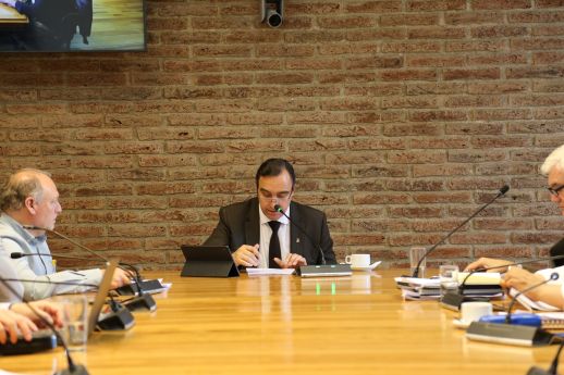 Consejo Regional aprobó concesión de terreno en Isla Navarino que permitirá avanzar en sistema de agua potable