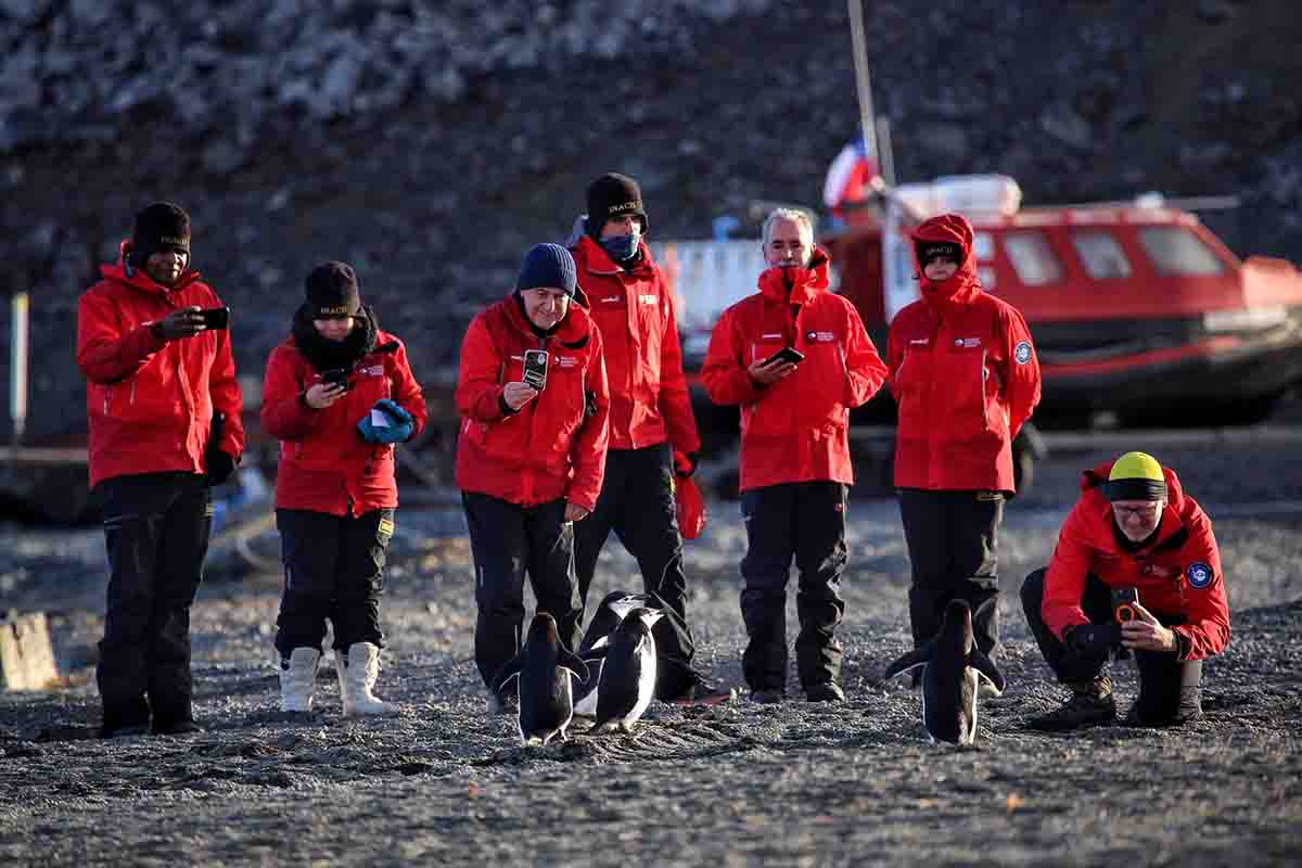 Embajadores de países puerta de entrada a la Antártica realizaron histórica visita a isla Rey Jorge
