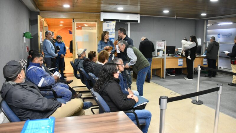 Municipio de Punta Arenas inicia pago del permiso de circulación 2026