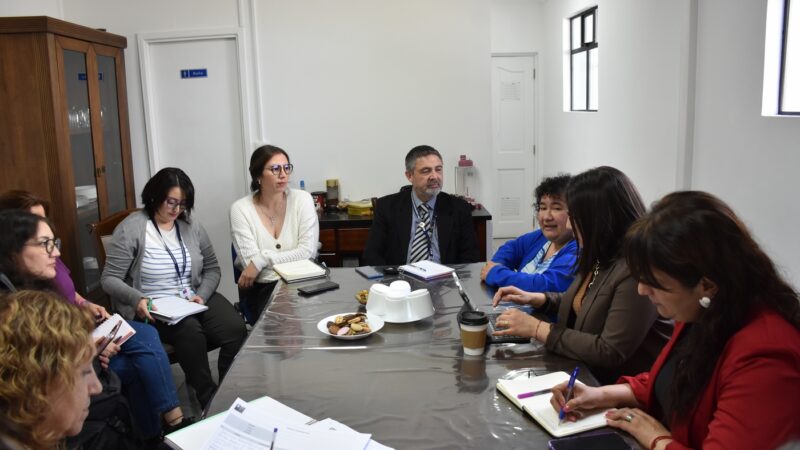 Sector Salud de Magallanes coordina acciones para el próximo inicio de la campaña de vacunación e inmunización invierno 2026