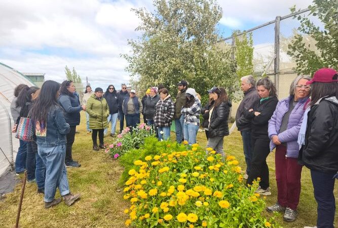 Jornada de Puertas Abiertas de INIA en Puerto Natales acercó la agroecología y la innovación a la comunidad