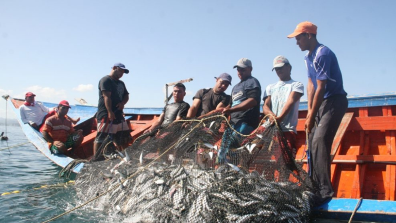 CONDEPP en alerta por nombramiento de Osvaldo Urrutia en Subpesca