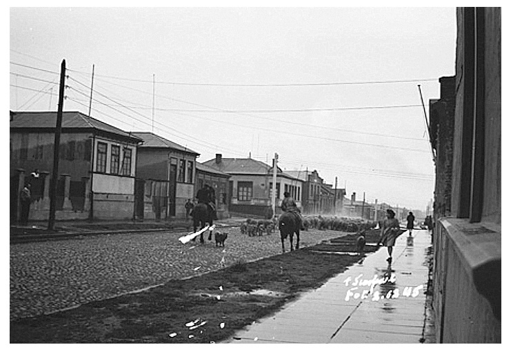 Cuando los arreos de ovejas pasaban por las calles de Punta Arenas