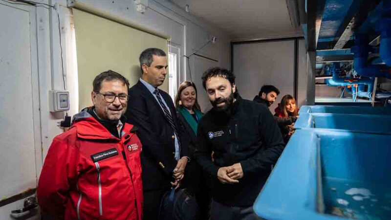 Canciller Francisco Pérez Mackenna: Hemos elegido venir aquí por la importancia que significa este lugar como puerta al continente antártico