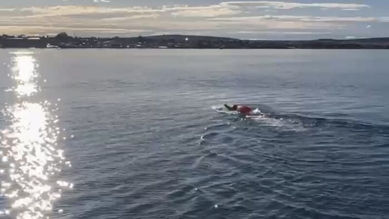 Amanda Torres, la joven nadadora de 15 años que desafía las aguas frías de la Patagonia