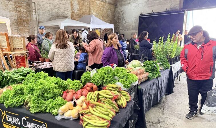 Más de mil personas dieron fuerza al Mercado Campesino en Punta Arenas en una jornada marcada por productos frescos y nuevos convenios 