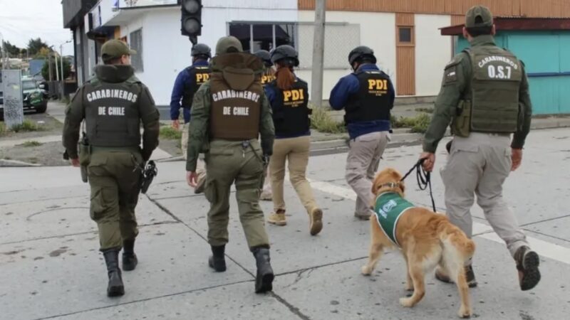 Operativo conjunto deja 53 detenidos en Magallanes y refuerza control policial en la región