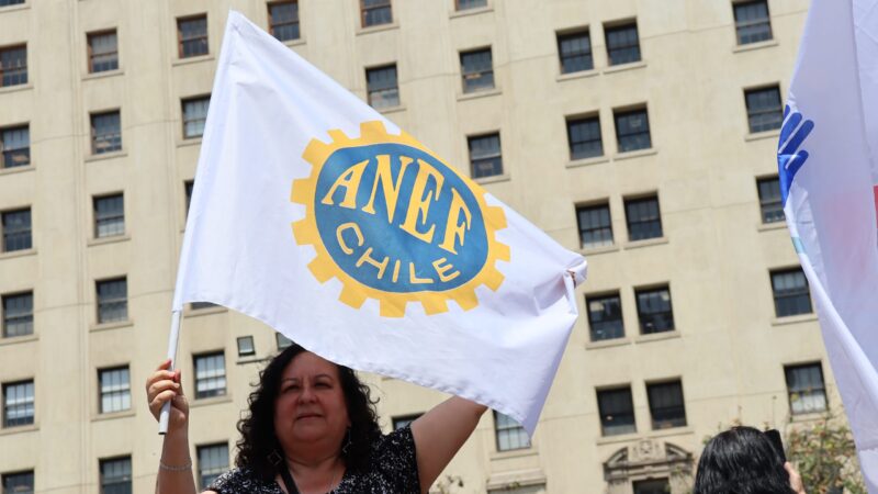 Carta pública de ANEF Nacional sobre reducción presupuestaria del 3% en el sector Público