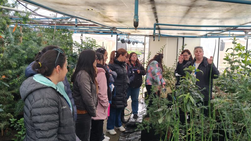 Funcionarias del INACH conocen en terreno avances del Bosque Antártico en jornada por el Día Internacional de la Mujer