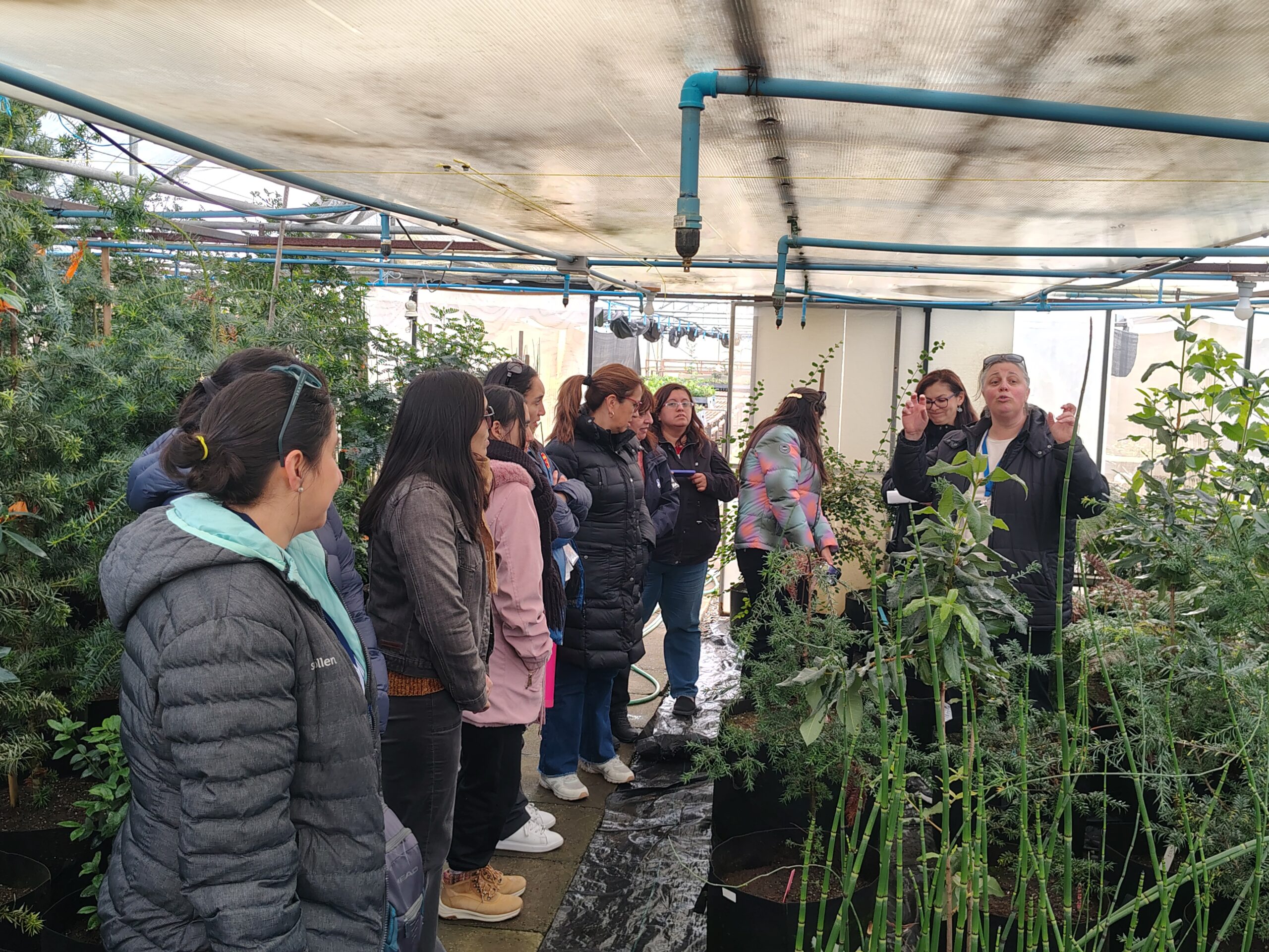 Funcionarias del INACH conocen en terreno avances del Bosque Antártico en jornada por el Día Internacional de la Mujer