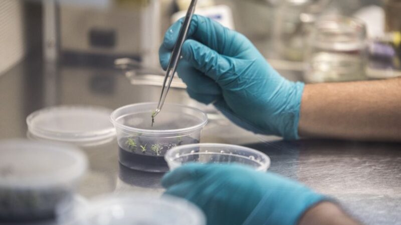 Durante este Gobierno: Más de $13 mil millones ha invertido el MinCiencia para potenciar la investigación científica de Magallanes