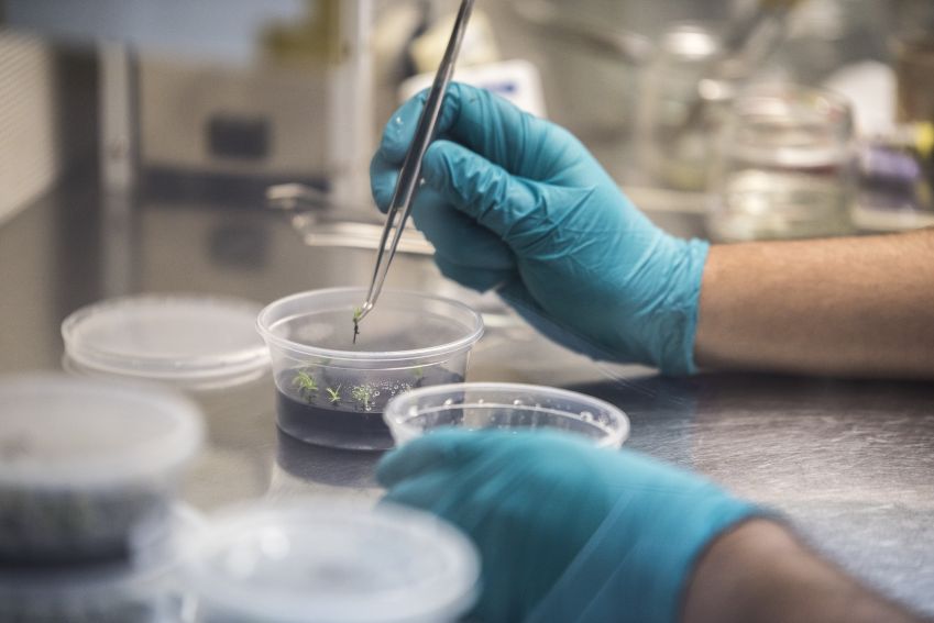 Durante este Gobierno: Más de $13 mil millones ha invertido el MinCiencia para potenciar la investigación científica de Magallanes