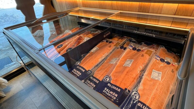 Salmón premium producido en Magallanes llega a la alimentación de más de 11.800 escolares