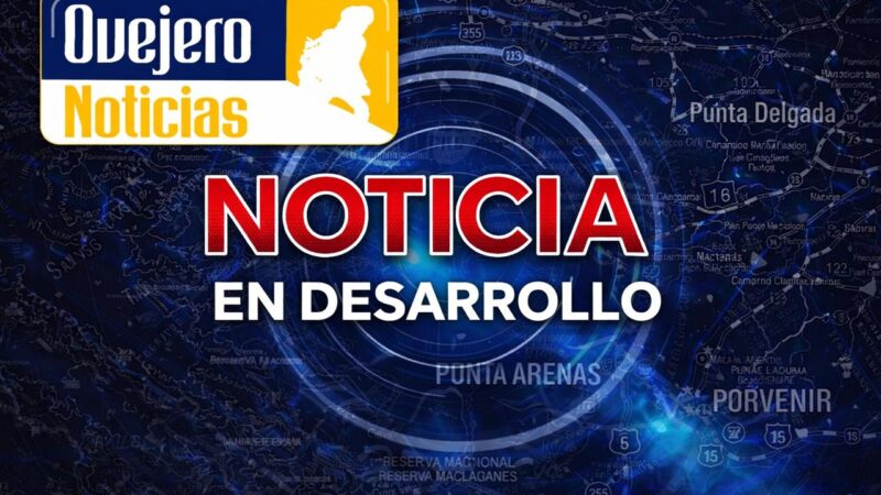 Delincuente fue reducido por vecinos tras robar especies desde un taxi colectivo frente a colegio en Punta Arenas