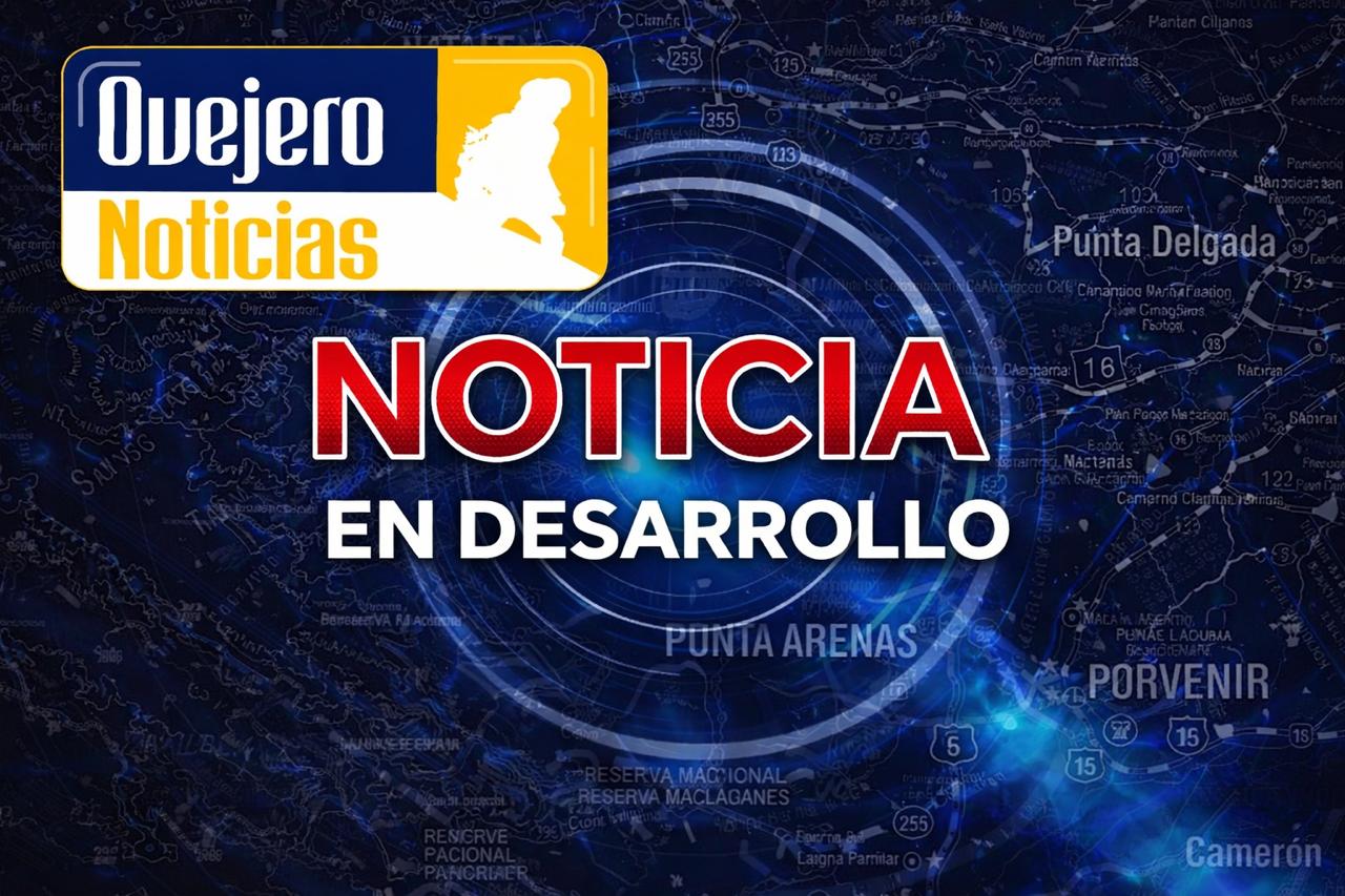 Delincuente fue reducido por vecinos tras robar especies desde un taxi colectivo frente a colegio en Punta Arenas