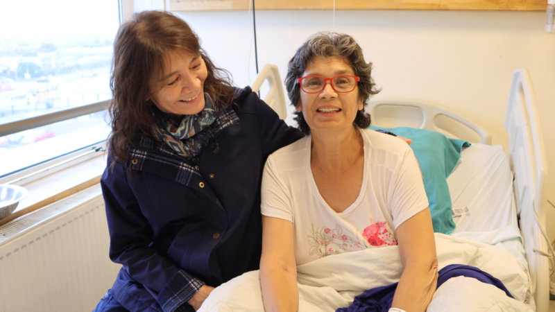 Nuevo fármaco contra ACV fue probado exitosamente en el Hospital Clínico Magallanes