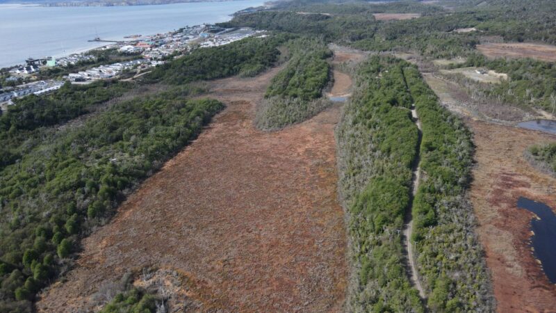 Turberas, las bóvedas de la naturaleza que contribuyen a mitigar el cambio climático
