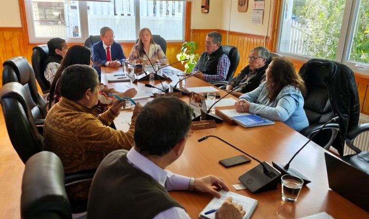 Delegado Presidencial Provincial de Última Esperanza Liber Lazo inicia agenda territorial en el Concejo Municipal de Torres del Paine