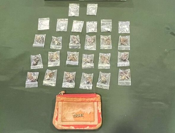 Detienen a sujeto con orden vigente y droga durante fiscalización de Carabineros en la Ruta 9 Norte de Punta Arenas