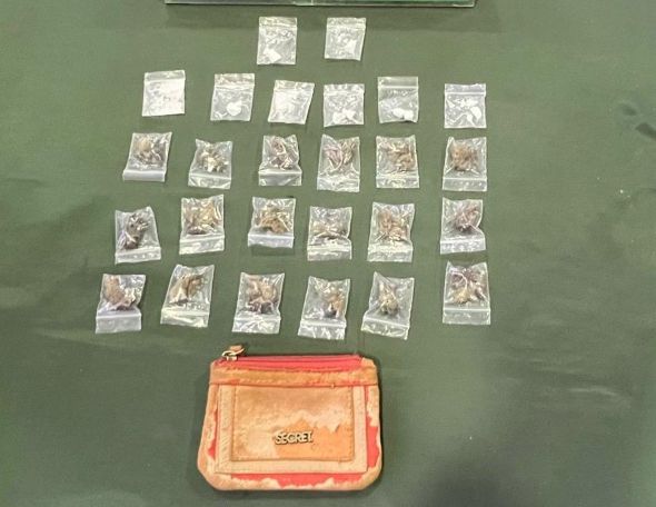 Detienen a sujeto con orden vigente y droga durante fiscalización de Carabineros en la Ruta 9 Norte de Punta Arenas