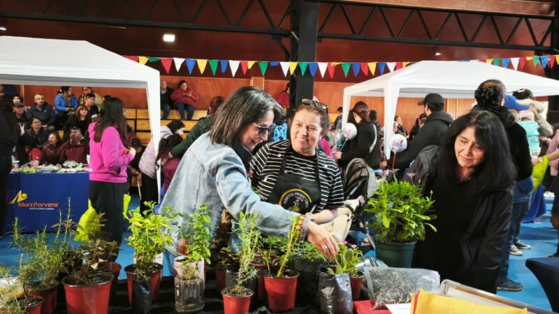 Concurrida feria «Pascua del Conejo» de emprendedores agricultores en Porvenir