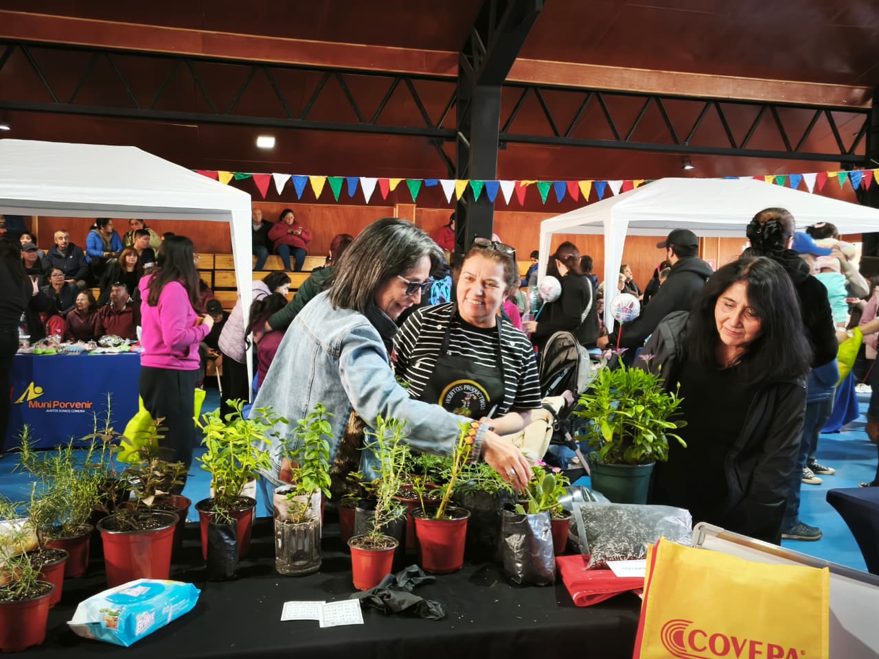 Concurrida feria «Pascua del Conejo» de emprendedores agricultores en Porvenir