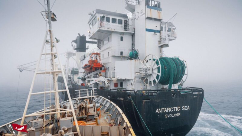 Buque de activistas colisiona con navío dedicado a la pesca de krill en aguas de la Antártica